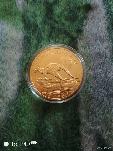 Австралия кенгуру