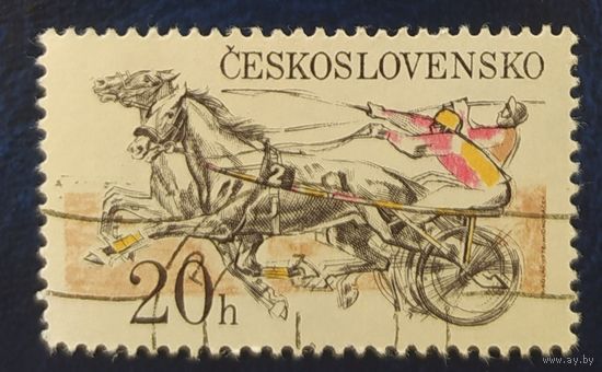 Чехословакия 1978 ипподром