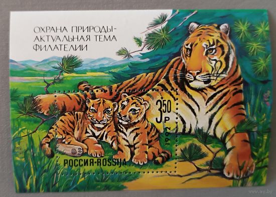 Тигры. Охрана природы. Россия, 1992