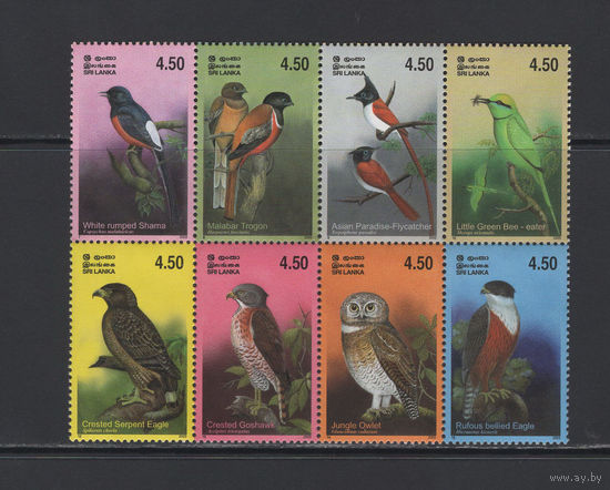 Фауна Птицы Шри-Ланка 2003 Тропические птицы острова Шри-Ланка
