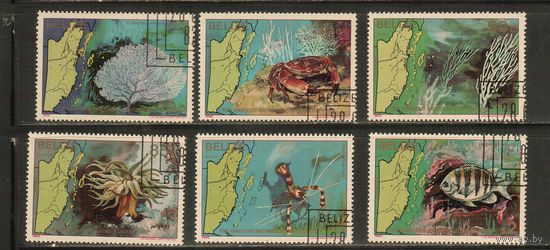 Белиз-1982(Мих.654-659) , гаш. , Морская  Фауна, , Рыбы (полная серия)