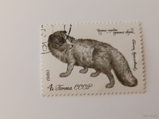 1980 СССР. Пушные звери