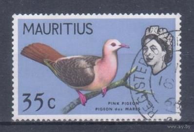 [1534] Маврикий 1965. Фауна.Птицы.Голубь. Гашеная марка.