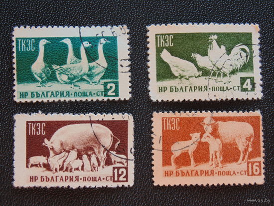 Болгария 1955 г. Домашние животные. Полная серия.