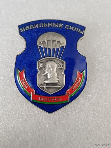 317 отдельная мобильная бригада Беларусь