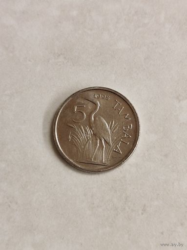 5 тамбала Малави.