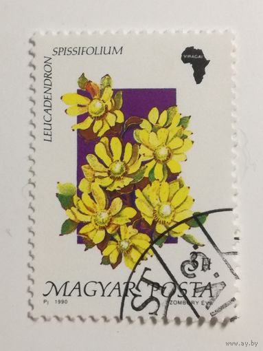 Венгрия 1990. Флора.