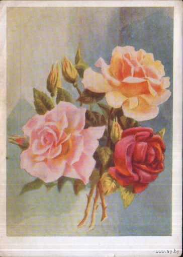 Чистая открытка 1959г. "Розы" худ. К. Лебедев