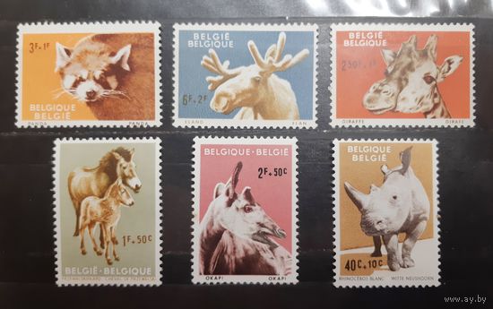 Бельгия. Фауна (555)