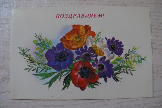 Охотина Н., Поздравляем! 1989, 1990, двойная, подписана.