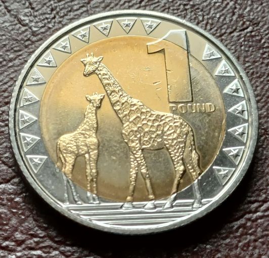 Южный Судан 1 фунт, 2015    ( 2-7-4 )