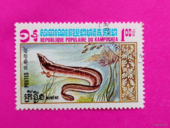 Камбоджа. Фауна. ( 1 марка ) 1983 года. 9-23.