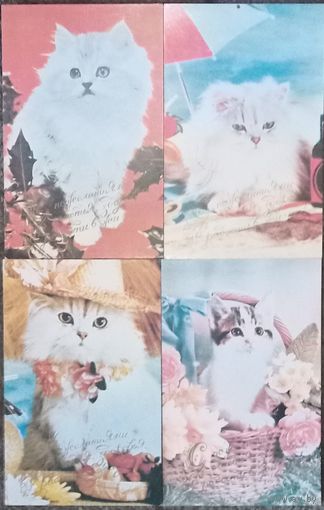 Открытки с котиками чистые, цена за одну