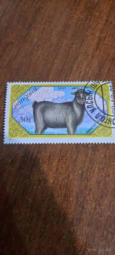 Монголия 1988. Домашние животные. Козы. Марка из серии