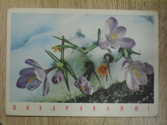 ПОДПИСАННАЯ ОТКРЫТКА СССР. "ПОЗДРАВЛЯЮ" ФОТО. А. БОГДАНОВА. 1968 ГОД.