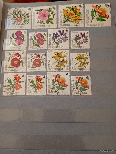 Флора Бурунди полная кат 7 евро