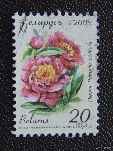 Беларусь 2008 г. Стандарт.