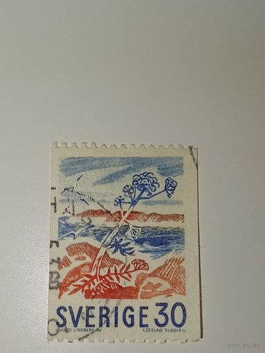 Марка Швеция 1967 год  Растение дягиль
