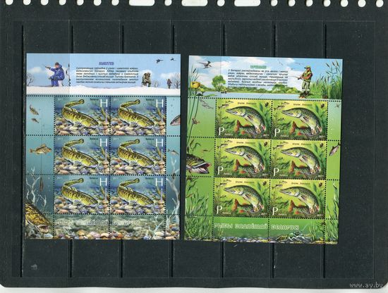 Беларусь 2011. Рыбы водоемов Беларуси. Малые листы