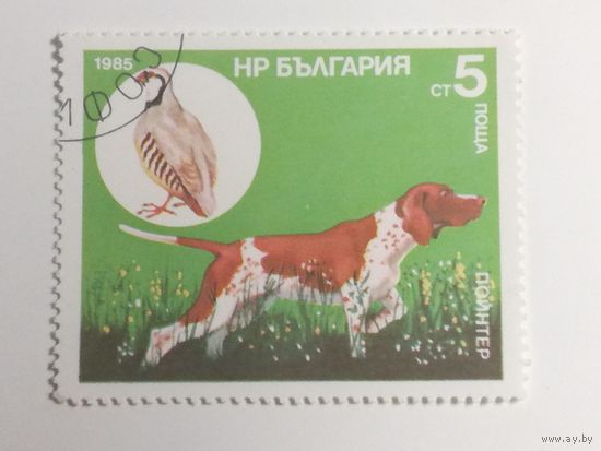Болгария 1985. Охотничьи собаки