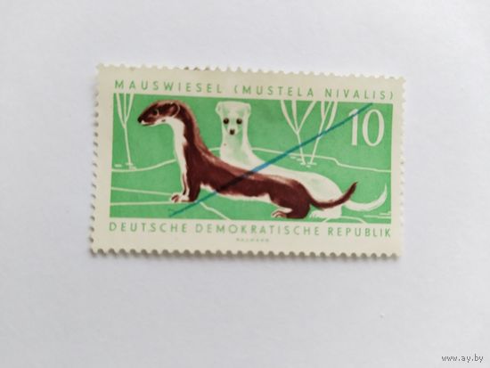 ГДР  1962 выдра