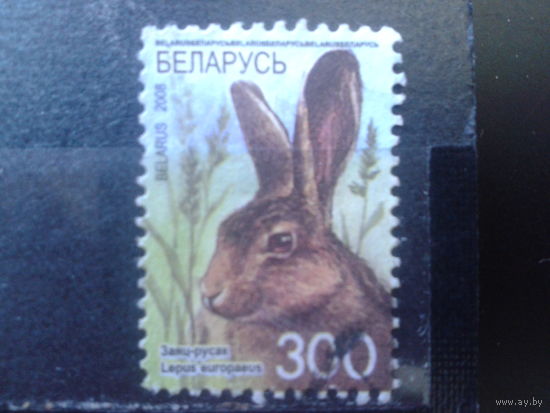 2008 Заяц