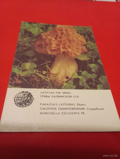 Календарик 1986г.