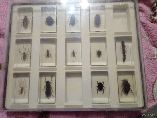 Коллекционные ''Насекомые и их Знакомые'