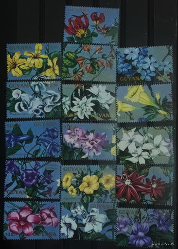 Гайана 1990 г. Флора, цветы, орхидеи. MNH