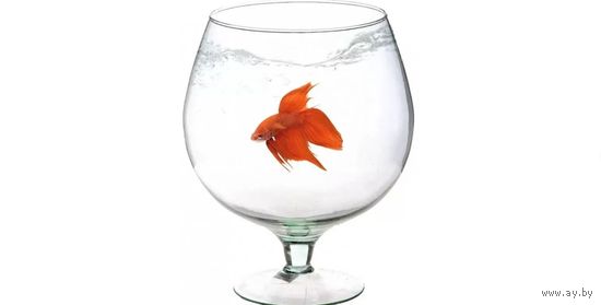 Аквариум "Бокал". 5 литров. Высота 32 см