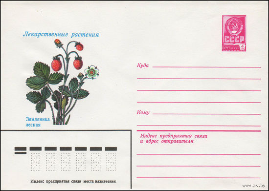Художественный маркированный конверт СССР N 13911 (12.11.1979) Лекарственные растения Земляника лесная