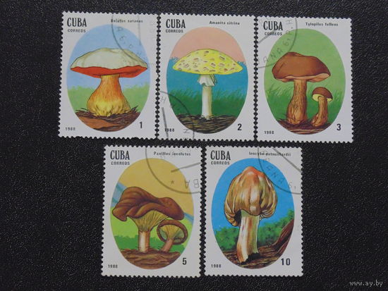 Куба 1988 г. Грибы.