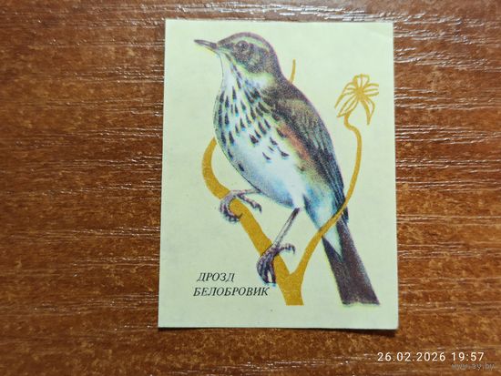 Спичечная этикетка Дрозд Белобровик