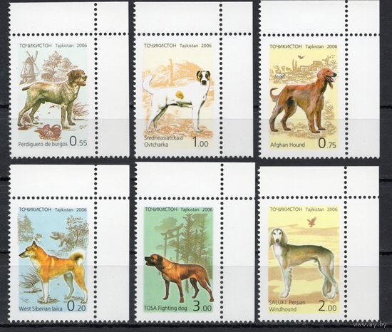 Таджикистан 2006. Фауна . Собаки (176)