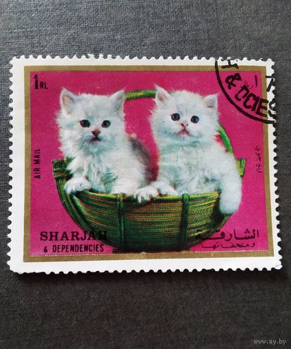 Марка Шарджа 1972 год Котята