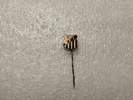 Футбольный клуб Сантос Сан-Паулу Бразилия