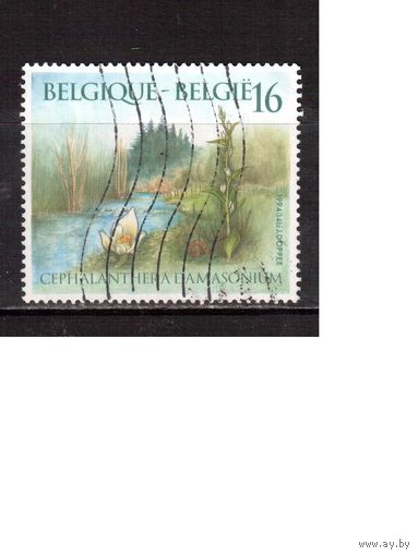 Бельгия-1994,(Мих. 2625) гаш. ,   Фауна, Флора