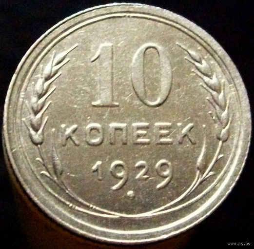 10 копеек 1929 (1)