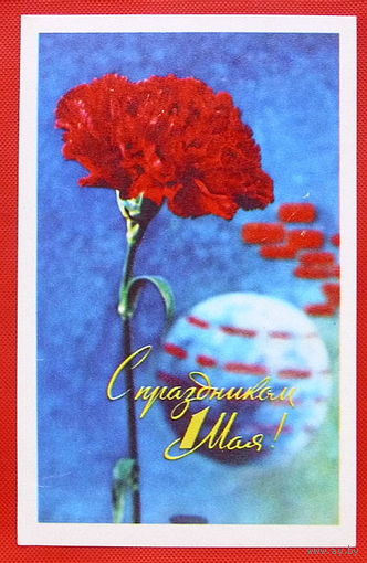 1 Мая. Чистая. 1971 года. Капитанова.
