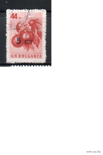 Болгария-1962, (Мих.1290),     гаш. , Стандарт, Фрукты,  Надп.