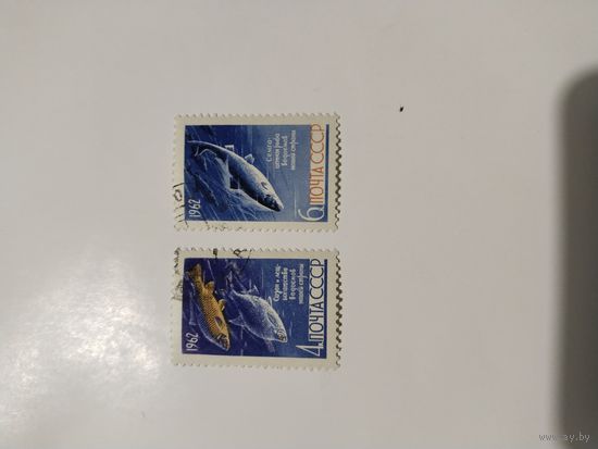 СССР 62 рыбы