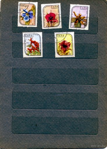 КУБА, 1986,    ОРХИДЕИ  5м   гашен