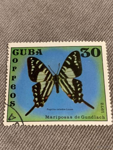 Куба 1972. Бабочки. Papilio celadon Lucas. Марка из серии