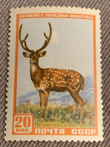 СССР 1957. Пятнистый олень. Марка из серии