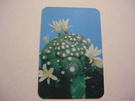 1990г.