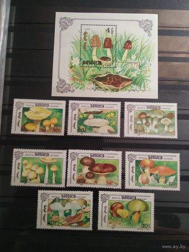 Монголия 1990 г. Грибы.