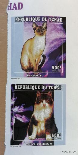 Марка Чад 2010 г., Марки без перфорации (беззубцовые),  фауна, кошки