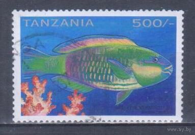 [206] Танзания 1996. Фауна.Рыбы. Концовка серии.Гашеная марка.
