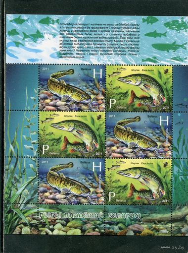 Беларусь 2011. Рыбы водоемов Беларуси. Малый лист