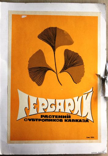 Гербарий растений субтропиков Кавказа. (СССР, конец 70-х - начало 80-х.)